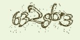 CAPTCHA: введите символы, которые вы видите на картинке