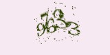 CAPTCHA: введите символы, которые вы видите на картинке