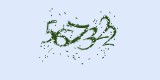 CAPTCHA: введите символы, которые вы видите на картинке
