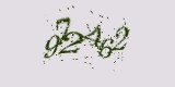 CAPTCHA: введите символы, которые вы видите на картинке