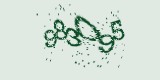 CAPTCHA: введите символы, которые вы видите на картинке