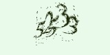 CAPTCHA: введите символы, которые вы видите на картинке