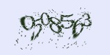 CAPTCHA: введите символы, которые вы видите на картинке