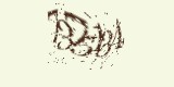 CAPTCHA: введите символы, которые вы видите на картинке