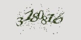 CAPTCHA: введите символы, которые вы видите на картинке