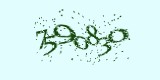 CAPTCHA: введите символы, которые вы видите на картинке