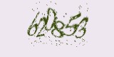 CAPTCHA: введите символы, которые вы видите на картинке