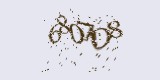CAPTCHA: введите символы, которые вы видите на картинке
