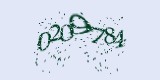 CAPTCHA: введите символы, которые вы видите на картинке
