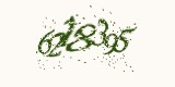 CAPTCHA: введите символы, которые вы видите на картинке