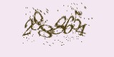 CAPTCHA: введите символы, которые вы видите на картинке