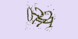CAPTCHA: введите символы, которые вы видите на картинке
