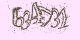 CAPTCHA: введите символы, которые вы видите на картинке