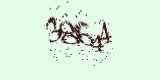 CAPTCHA: введите символы, которые вы видите на картинке