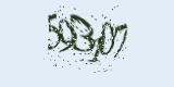 CAPTCHA: введите символы, которые вы видите на картинке