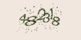 CAPTCHA: введите символы, которые вы видите на картинке