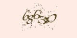 CAPTCHA: введите символы, которые вы видите на картинке