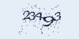 CAPTCHA: введите символы, которые вы видите на картинке