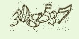 CAPTCHA: введите символы, которые вы видите на картинке