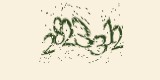 CAPTCHA: введите символы, которые вы видите на картинке