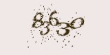 CAPTCHA: введите символы, которые вы видите на картинке