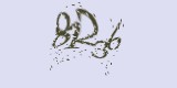 CAPTCHA: введите символы, которые вы видите на картинке