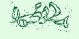CAPTCHA: введите символы, которые вы видите на картинке