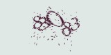 CAPTCHA: введите символы, которые вы видите на картинке