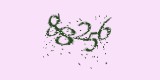CAPTCHA: введите символы, которые вы видите на картинке