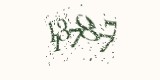 CAPTCHA: введите символы, которые вы видите на картинке