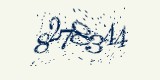 CAPTCHA: введите символы, которые вы видите на картинке