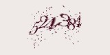 CAPTCHA: введите символы, которые вы видите на картинке