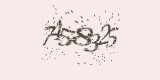 CAPTCHA: введите символы, которые вы видите на картинке
