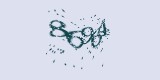 CAPTCHA: введите символы, которые вы видите на картинке
