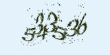 CAPTCHA: введите символы, которые вы видите на картинке