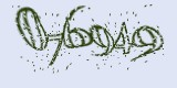 CAPTCHA: введите символы, которые вы видите на картинке