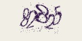 CAPTCHA: введите символы, которые вы видите на картинке