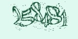 CAPTCHA: введите символы, которые вы видите на картинке