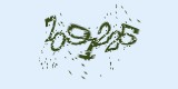 CAPTCHA: введите символы, которые вы видите на картинке
