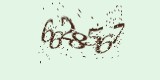 CAPTCHA: введите символы, которые вы видите на картинке