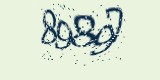 CAPTCHA: введите символы, которые вы видите на картинке