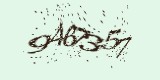 CAPTCHA: введите символы, которые вы видите на картинке