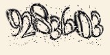 CAPTCHA: введите символы, которые вы видите на картинке