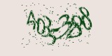 CAPTCHA: введите символы, которые вы видите на картинке