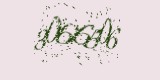 CAPTCHA: введите символы, которые вы видите на картинке
