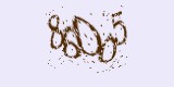 CAPTCHA: введите символы, которые вы видите на картинке