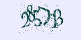CAPTCHA: введите символы, которые вы видите на картинке