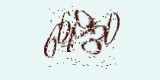 CAPTCHA: введите символы, которые вы видите на картинке