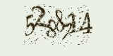 CAPTCHA: введите символы, которые вы видите на картинке