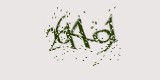 CAPTCHA: введите символы, которые вы видите на картинке